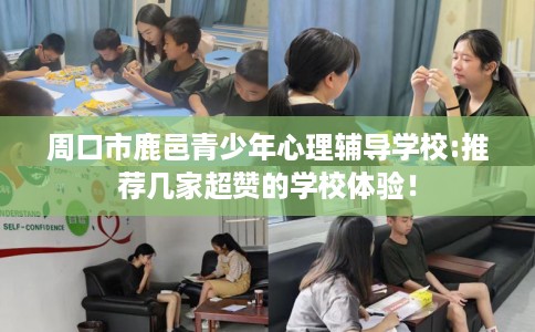 周口市鹿邑青少年心理辅导学校:推荐几家超赞的学校体验！