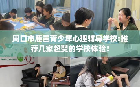 周口市鹿邑青少年心理辅导学校:推荐几家超赞的学校体验！