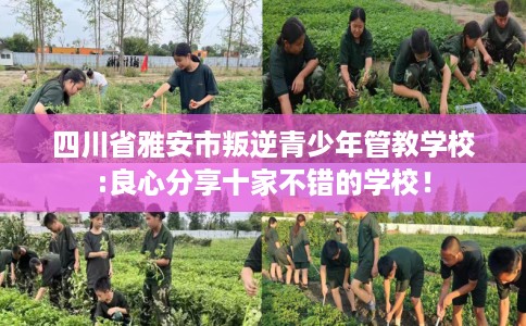 四川省雅安市叛逆青少年管教学校:良心分享十家不错的学校! 四川省雅安市叛逆青少年管教学校:良心分享十家不错的学校!