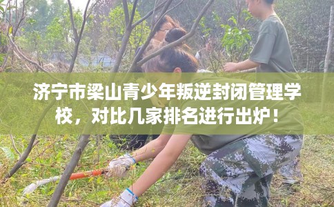 济宁市梁山青少年叛逆封闭管理学校,对比几家排名进行出炉! 济宁市梁山青少年叛逆封闭管理学校,对比几家排名进行出炉!
