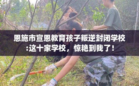 恩施市宣恩教育孩子叛逆封闭学校:这十家学校，惊艳到我了！