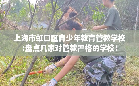 上海市虹口区青少年教育管教学校:盘点几家对管教严格的学校！