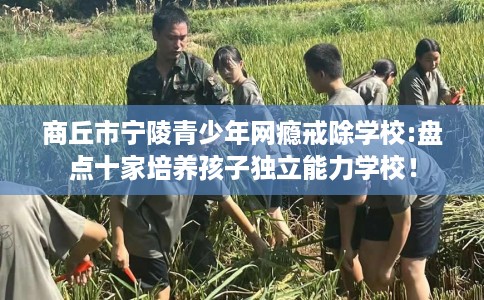 商丘市宁陵青少年网瘾戒除学校:盘点十家培养孩子独立能力学校! 商丘市宁陵青少年网瘾戒除学校:盘点十家培养孩子独立能力学校!