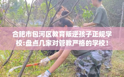 合肥市包河区教育叛逆孩子正规学校:盘点几家对管教严格的学校! 合肥市包河区教育叛逆孩子正规学校:盘点几家对管教严格的学校!