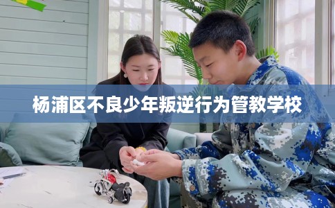 杨浦区不良少年叛逆行为管教学校