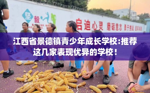 江西省景德镇青少年成长学校:推荐这几家表现优异的学校！