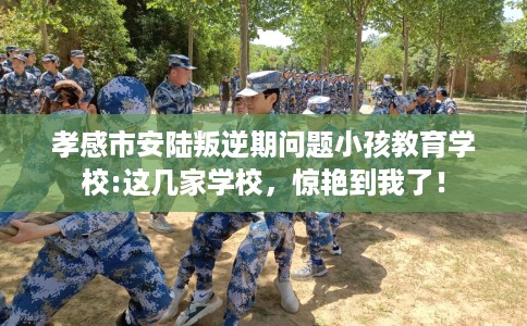 孝感市安陆叛逆期问题小孩教育学校:这几家学校，惊艳到我了！