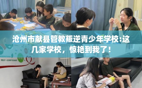 沧州市献县管教叛逆青少年学校:这几家学校，惊艳到我了！