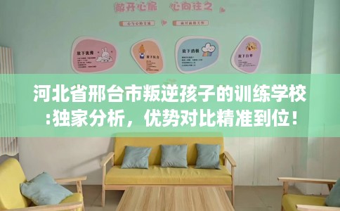 河北省邢台市叛逆孩子的训练学校:独家分析，优势对比精准到位！
