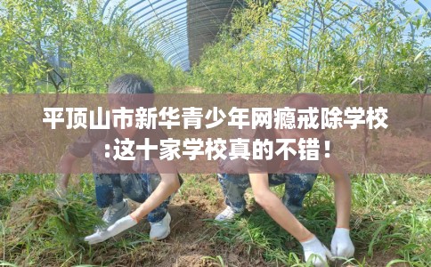 平顶山市新华青少年网瘾戒除学校:这十家学校真的不错! 平顶山市新华青少年网瘾戒除学校:这十家学校真的不错!
