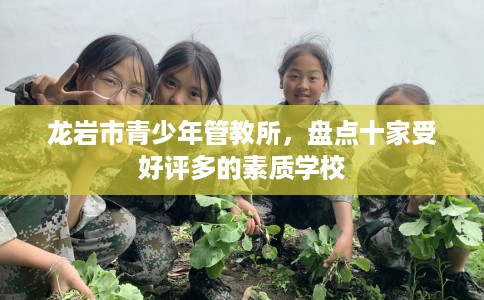 龙岩市青少年管教所，盘点十家受好评多的素质学校