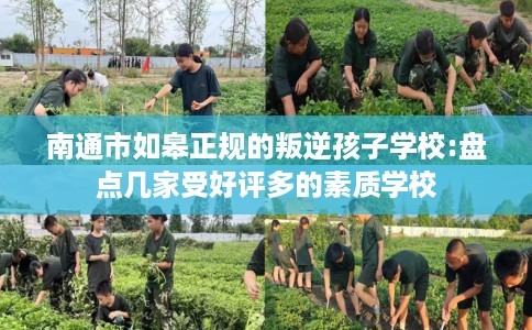 南通市如皋正规的叛逆孩子学校:盘点几家受好评多的素质学校