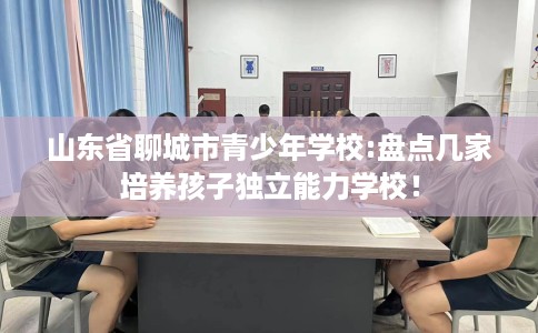 山东省聊城市青少年学校:盘点几家培养孩子独立能力学校! 山东省聊城市青少年学校:盘点几家培养孩子独立能力学校!