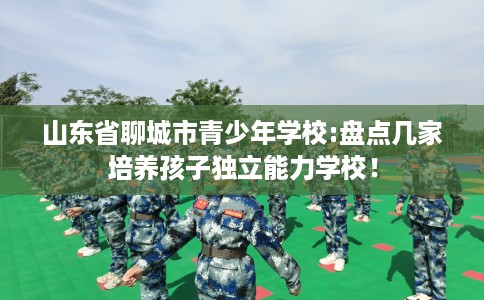 山东省聊城市青少年学校:盘点几家培养孩子独立能力学校！