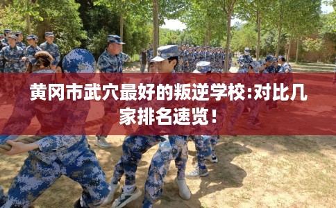 黄冈市武穴最好的叛逆学校:对比几家排名速览! 黄冈市武穴最好的叛逆学校:对比几家排名速览!