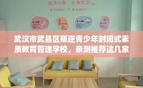 武汉市武昌区叛逆青少年封闭式素质教育管理学校,亲测推荐这几家不容错过! 武汉市武昌区叛逆青少年封闭式素质教育管理学校,亲测推荐这几家不容错过!