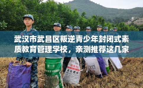 武汉市武昌区叛逆青少年封闭式素质教育管理学校,亲测推荐这几家不容错过! 武汉市武昌区叛逆青少年封闭式素质教育管理学校,亲测推荐这几家不容错过!