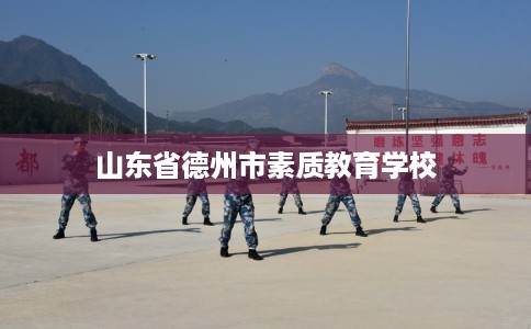 山东省德州市素质教育学校