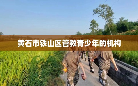 黄石市铁山区管教青少年的机构 黄石市铁山区管教青少年的机构