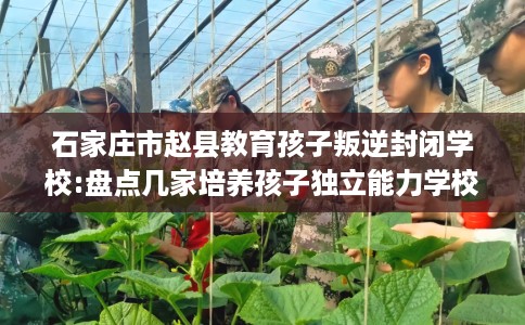 石家庄市赵县教育孩子叛逆封闭学校:盘点几家培养孩子独立能力学校！