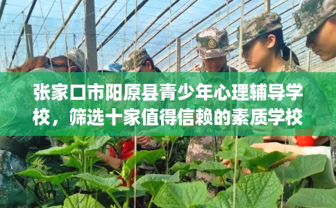 张家口市阳原县青少年心理辅导学校，筛选十家值得信赖的素质学校！