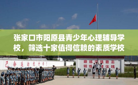 张家口市阳原县青少年心理辅导学校，筛选十家值得信赖的素质学校！