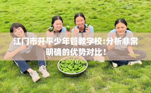江门市开平少年管教学校:分析非常明确的优势对比! 江门市开平少年管教学校:分析非常明确的优势对比!