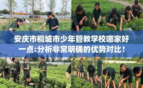 安庆市桐城市少年管教学校哪家好一点:分析非常明确的优势对比! 安庆市桐城市少年管教学校哪家好一点:分析非常明确的优势对比!