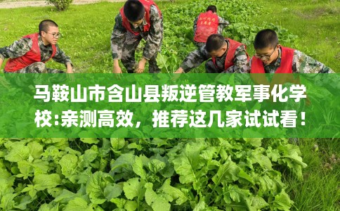 马鞍山市含山县叛逆管教军事化学校:亲测高效，推荐这几家试试看！