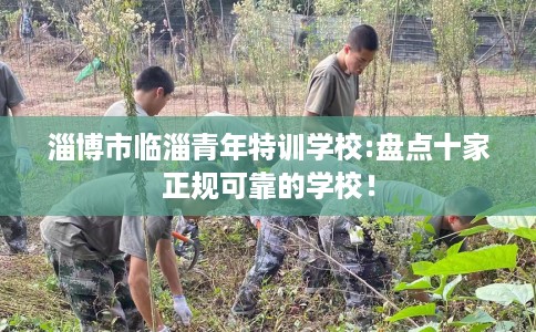 淄博市临淄青年特训学校:盘点十家正规可靠的学校! 淄博市临淄青年特训学校:盘点十家正规可靠的学校!