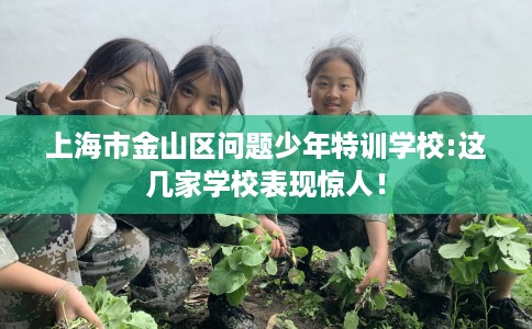 上海市金山区问题少年特训学校:这几家学校表现惊人！