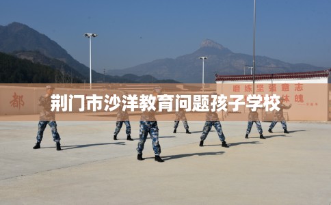 荆门市沙洋教育问题孩子学校