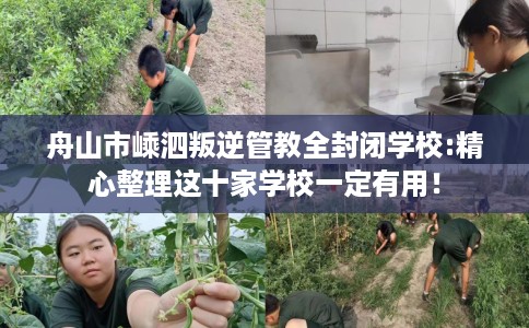 舟山市嵊泗叛逆管教全封闭学校:精心整理这十家学校一定有用! 舟山市嵊泗叛逆管教全封闭学校:精心整理这十家学校一定有用!