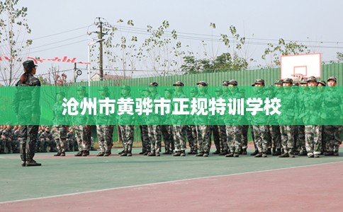 沧州市黄骅市正规特训学校 沧州市黄骅市正规特训学校