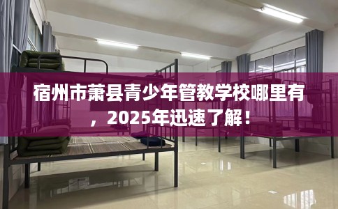 宿州市萧县青少年管教学校哪里有,2025年迅速了解! 宿州市萧县青少年管教学校哪里有,2025年迅速了解!