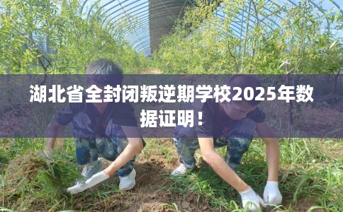 湖北省全封闭叛逆期学校2025年数据证明! 湖北省全封闭叛逆期学校2025年数据证明!