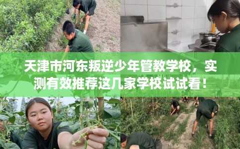 天津市河东叛逆少年管教学校,实测有效推荐这几家学校试试看! 天津市河东叛逆少年管教学校,实测有效推荐这几家学校试试看!