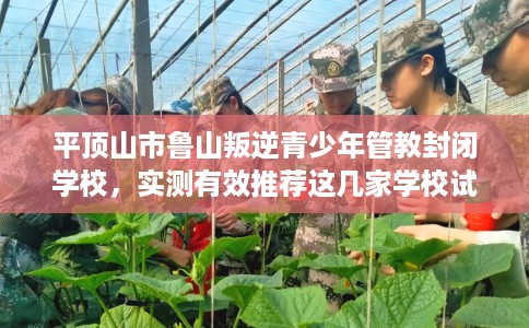 平顶山市鲁山叛逆青少年管教封闭学校，实测有效推荐这几家学校试试看！