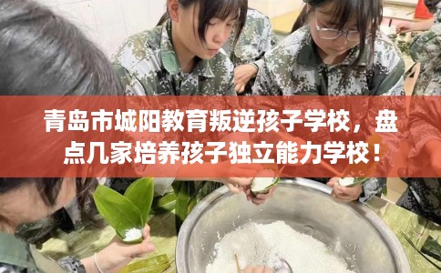 青岛市城阳教育叛逆孩子学校,盘点几家培养孩子独立能力学校! 青岛市城阳教育叛逆孩子学校,盘点几家培养孩子独立能力学校!