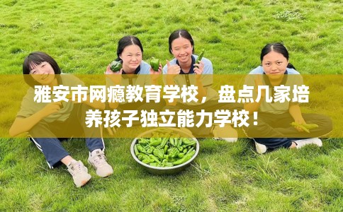 雅安市网瘾教育学校,盘点几家培养孩子独立能力学校! 雅安市网瘾教育学校,盘点几家培养孩子独立能力学校!