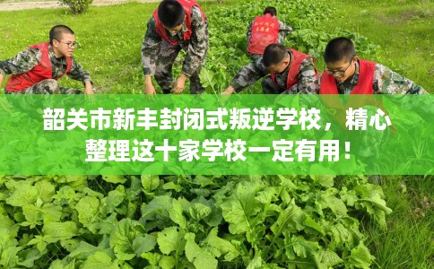 韶关市新丰封闭式叛逆学校，精心整理这十家学校一定有用！