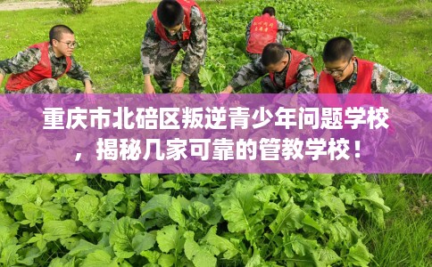 重庆市北碚区叛逆青少年问题学校，揭秘几家可靠的管教学校！