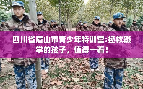 四川省眉山市青少年特训营:拯救辍学的孩子，值得一看！
