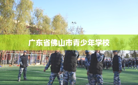 广东省佛山市青少年学校