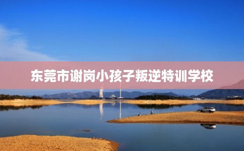 东莞市谢岗小孩子叛逆特训学校