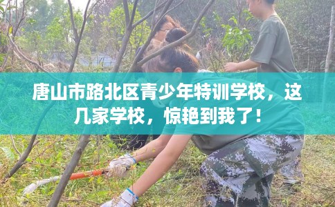唐山市路北区青少年特训学校，这几家学校，惊艳到我了！