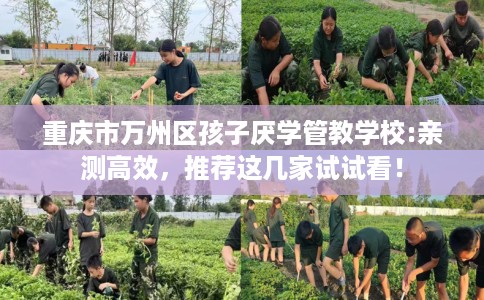 重庆市万州区孩子厌学管教学校:亲测高效，推荐这几家试试看！