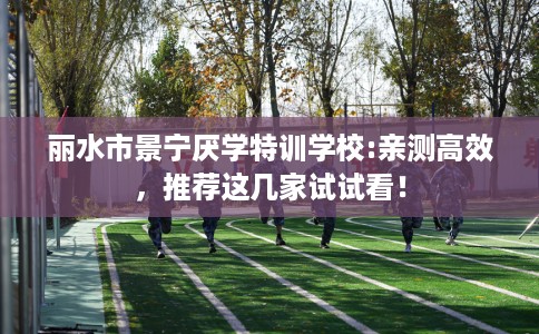 丽水市景宁厌学特训学校:亲测高效，推荐这几家试试看！