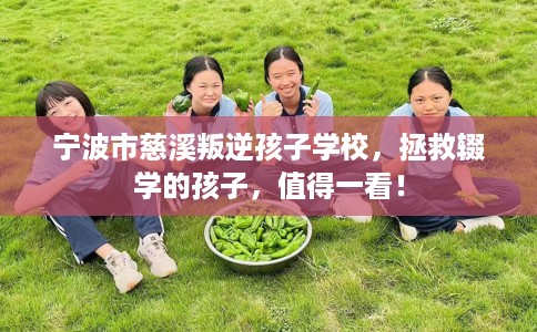宁波市慈溪叛逆孩子学校，拯救辍学的孩子，值得一看！