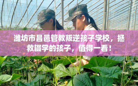 潍坊市昌邑管教叛逆孩子学校,拯救辍学的孩子,值得一看! 潍坊市昌邑管教叛逆孩子学校,拯救辍学的孩子,值得一看!